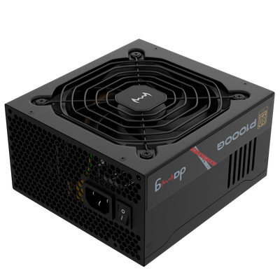 P1000G